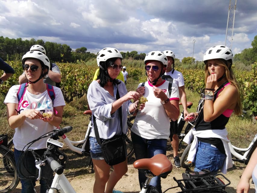 Barcelona Bike & Wine Guided Tour Penedès vineyards GetYourGuide