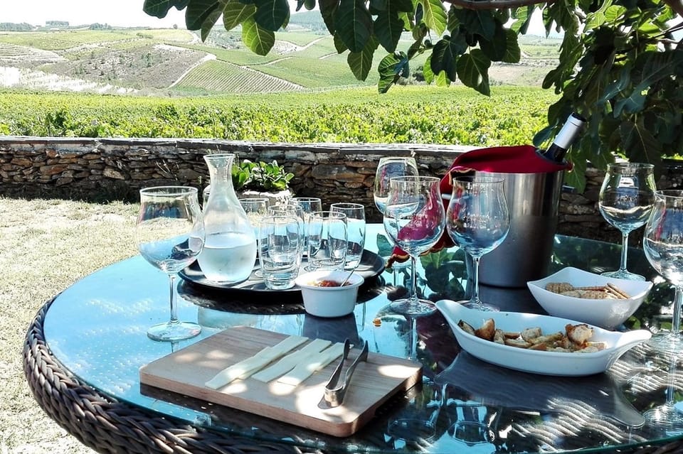 Valle Del Douro Tour Premium Di Un Intera Giornata Getyourguide