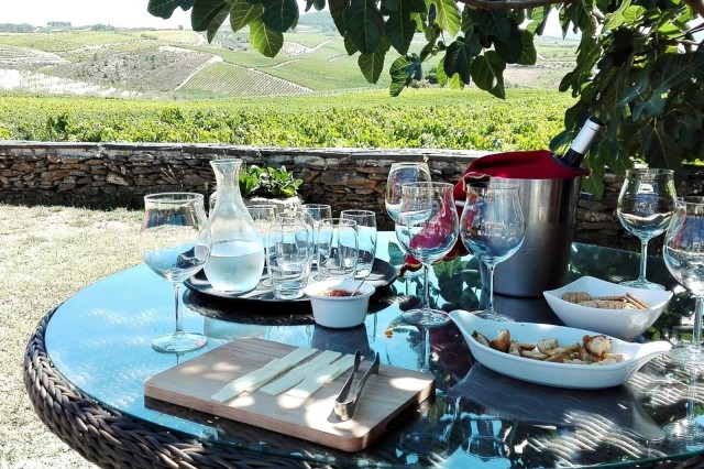 Visit Douro Valley Premium Full-Day Tour Experience in Vale do Douro