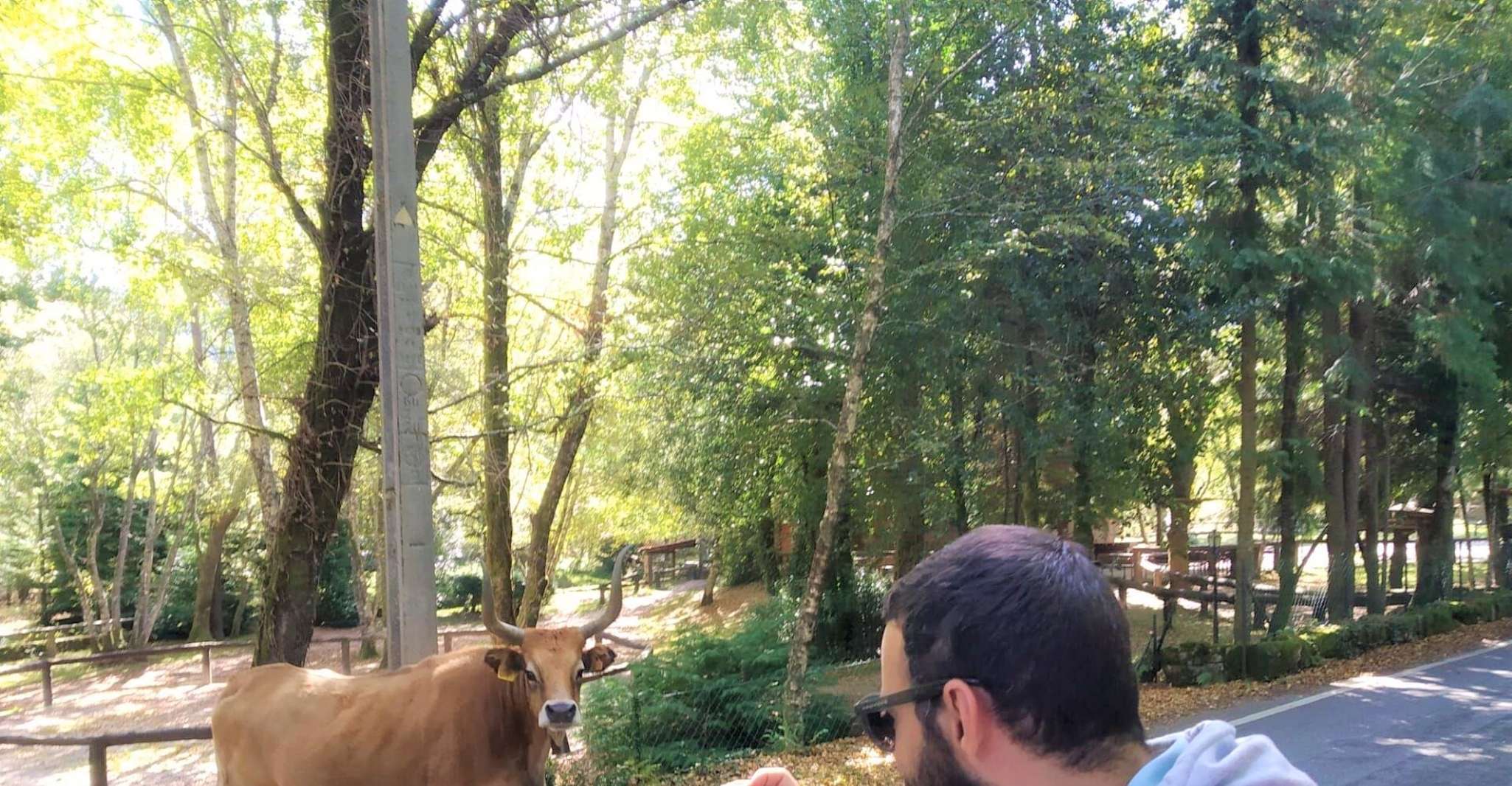 Peneda-Gerês, visite Premium d'une journée - Hizvo