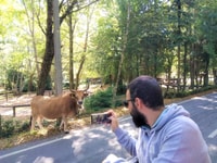 Peneda-Gerês, tour Premium di un giorno intero - Hizvo
