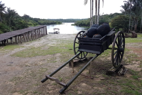 Manaus: Musée du caoutchouc de Museu do SeringalRencontre avec les sections locales: Village indien et Musée Caoutchouc