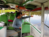 Manaus, Piranha Pêche et Alligator Regarder le soir - Hizvo