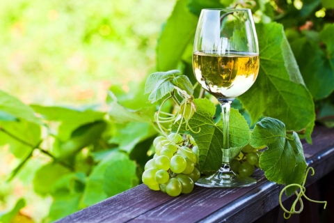 Vinho Verde Premium wijntour van een hele dagVinho Verde privétour - all-inclusive