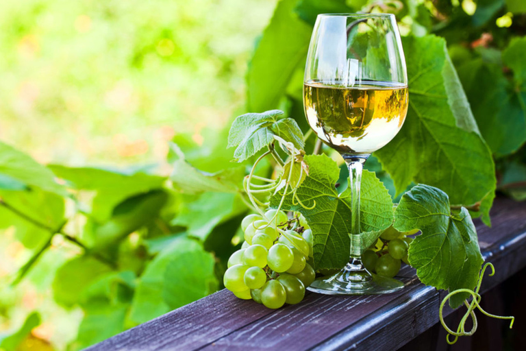 Vinho Verde Full-Day Premium Wine Tour Vinho Verde Private Tour - All-Inclusive