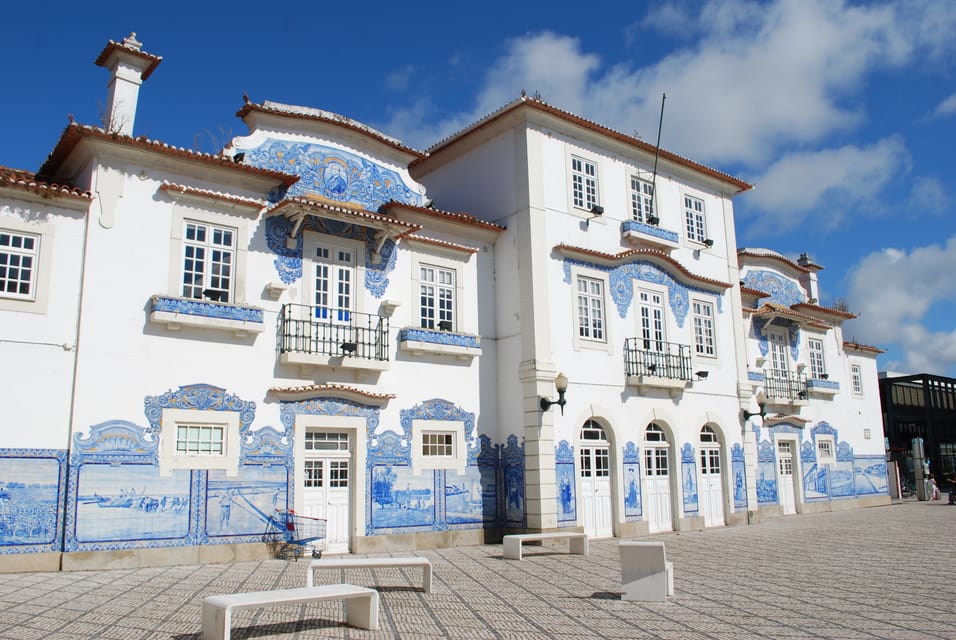 Oporto, Braga, or Guimarães: Coimbra and Aveiro Private Tour | GetYourGuide