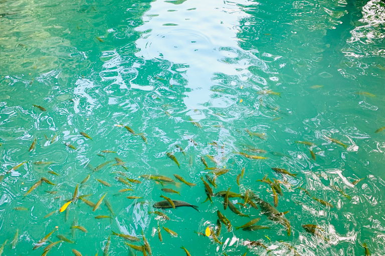 Vang Vieng : Kayak et spéléologie avec tyrolienne/lagon bleuVisite de la grotte de Tham Nam avec Zipline