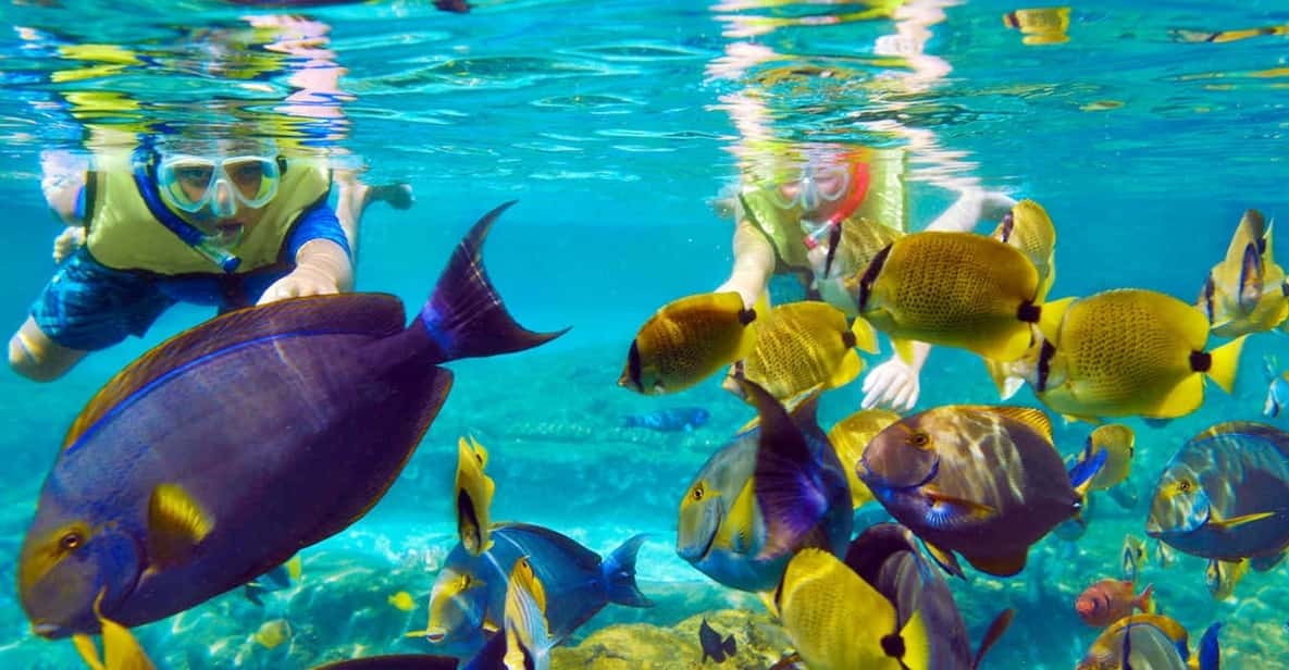 Hurghada: Giftun Island Snorkeling Trip with Lunch