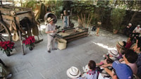 Da Veracruz, Xalapa, Xico & Coatepec Culture & Coffee Tour - Hizvo
