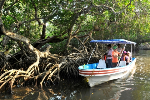 Z Veracruz: wycieczka łodzią z przyrodą i owocami morza do Madinga