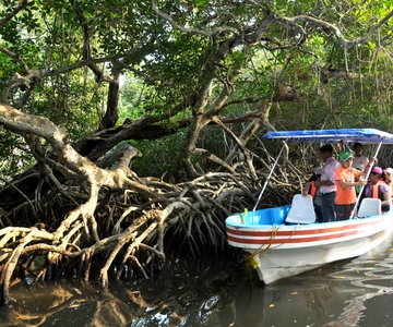 De Veracruz: Passeio de barco pela natureza e marisco em Madinga