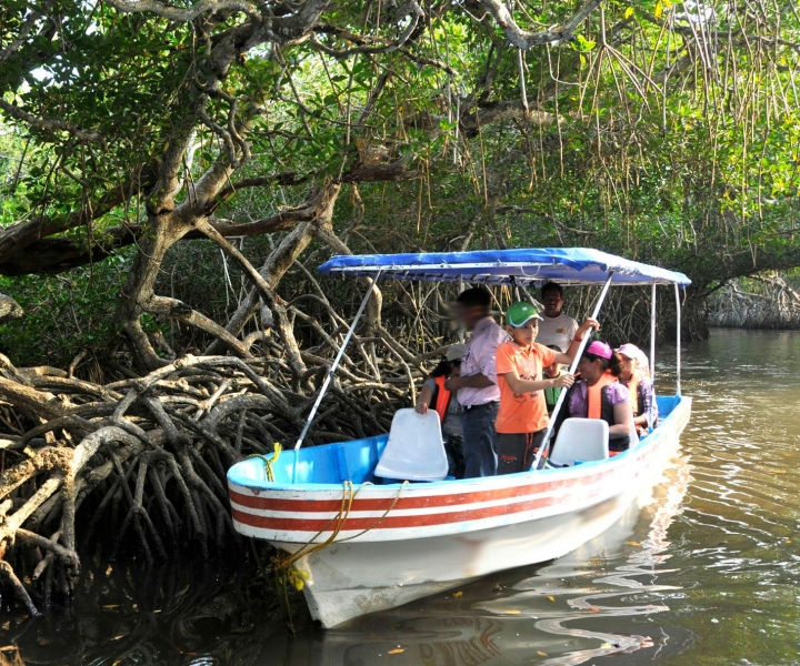 From Veracruz: Nature & Seafood Boat Tour to Madinga