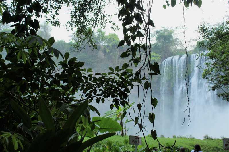 Da Veracruz: tour di Catemaco, natura, cascate e scimmie | GetYourGuide