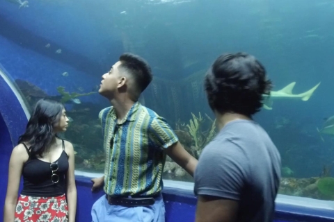 Veracruz: 5-Attraktionen-Tour mit Aquarium und Bootstour
