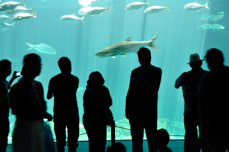 Veracruz: 5-attractie tour met aquarium en boottocht