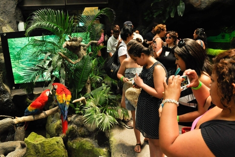 Veracruz: 5-attractie tour met aquarium en boottocht
