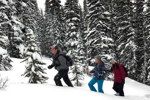 Canadian Rockies: Scenic Winter Helicopter & Snowshoe Tour 30-Minute Helicopter Flight & 1-Hour Snowshoe Adventure