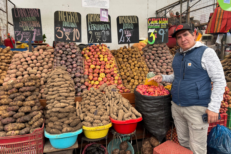 Callao: Market, Fortress, and La Punta Peninsula