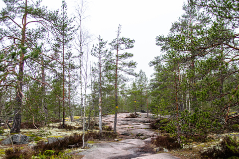 Nuuksio National park hiking experience from Helsinki