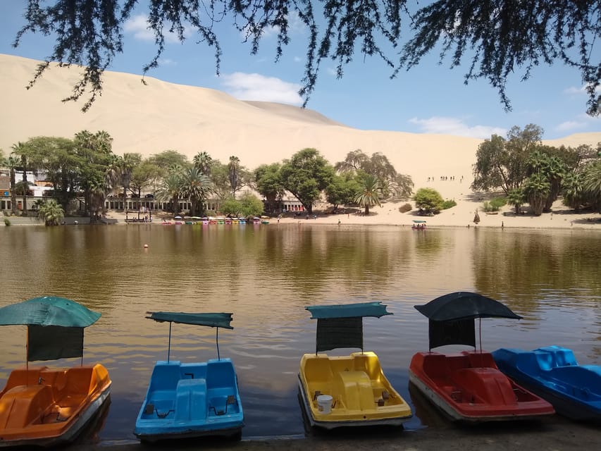 Lima Ballestas Islands Huacachina Oasis Nazca Lines Tour Getyourguide