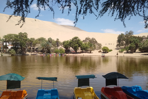 Lima: Ballestas-Inseln, Huacachina &amp; Nazca-Linien + MittagessenLima: Ballestas-Inseln, Huacachina-Oase und Nazca-Linien-Tour