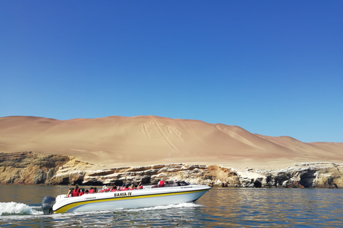 Lima: Ballestas-Inseln, Huacachina &amp; Nazca-Linien + MittagessenLima: Ballestas-Inseln, Huacachina-Oase und Nazca-Linien-Tour