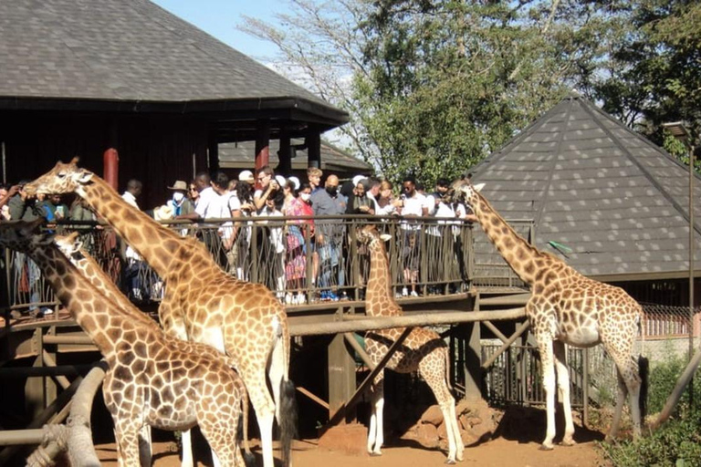 Parque Nacional de Nairobi, Orfanato de Elefantes e Centro de Girafas