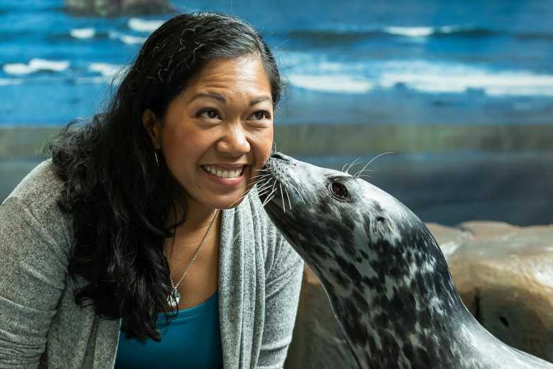 Georgia Aquarium: Harbor Seal Animal Encounter
