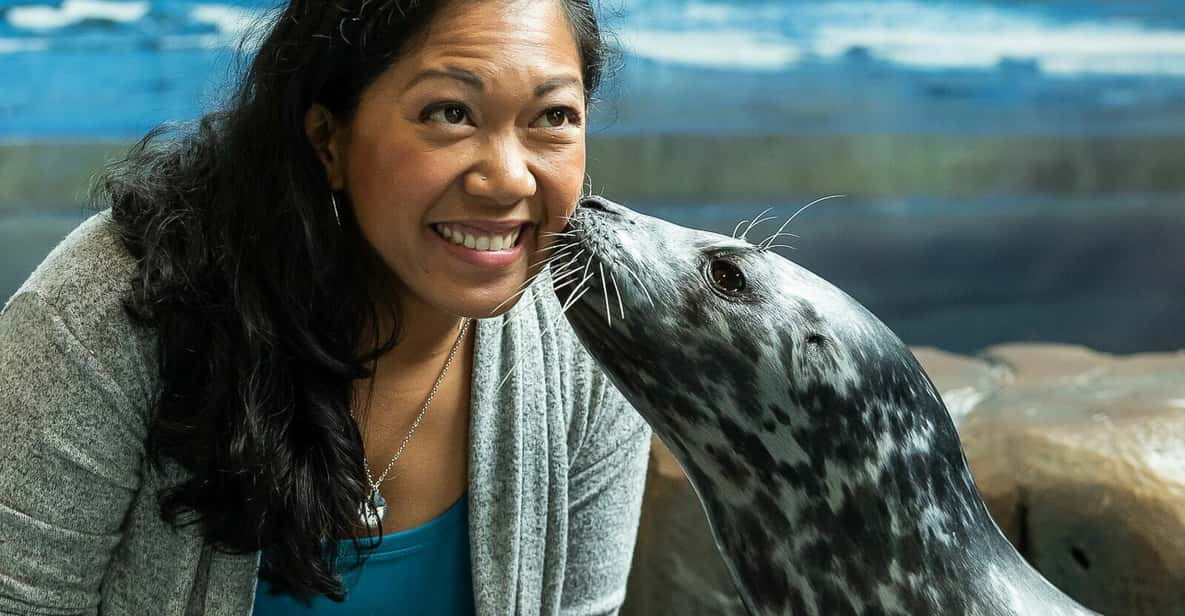 Georgia Aquarium: Harbor Seal Animal Encounter | GetYourGuide