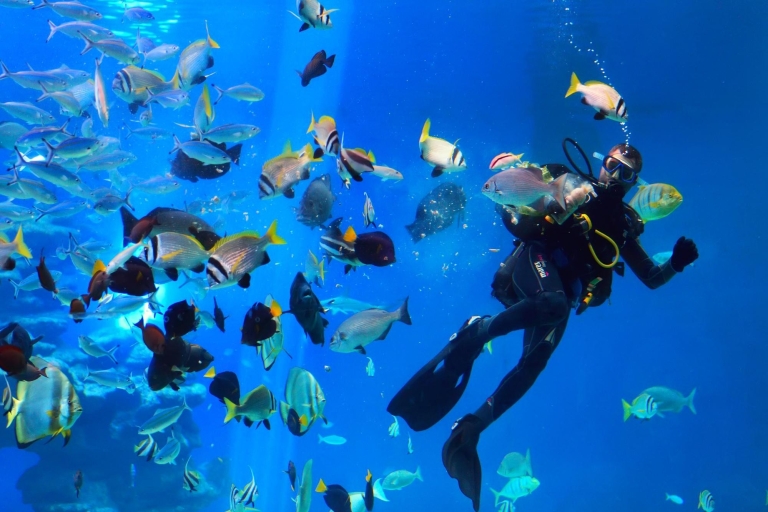 Hurghada: Snorkelen, duiken, parasailen & Orange Island met lunch