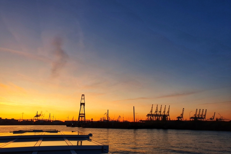 Hamburgo: puerto privado en barcoTour privado de 1 hora por el puerto en barco