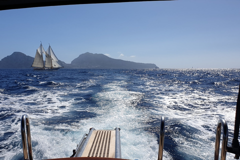 De Sorrente : excursion privée d'une demi-journée en bateau à CapriOption standard