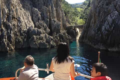 From Sorrento: Private 4-Hour Boat Trip towards Positano