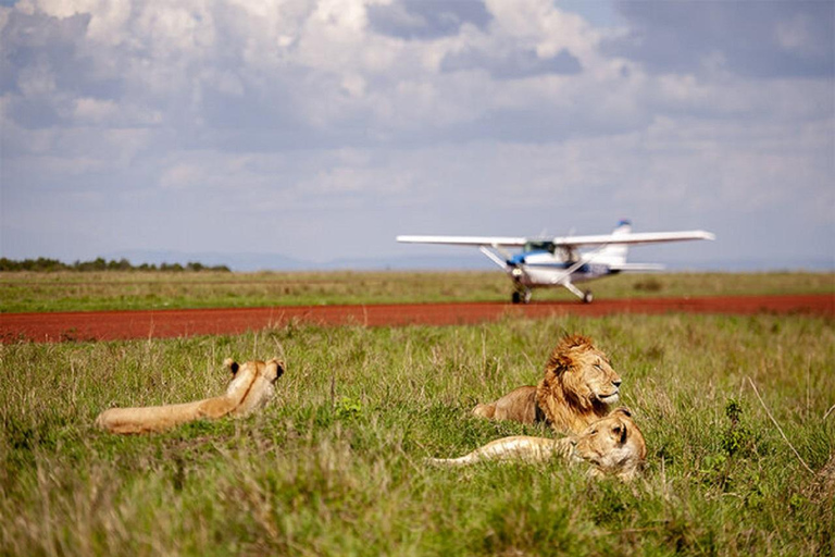Nairobi: 3-Day Fly-In Private Maasai Mara Safari Experince