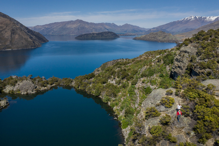 Wanaka: Táxi aquático e passeio pela ilha de Mou WahoOpção Padrão