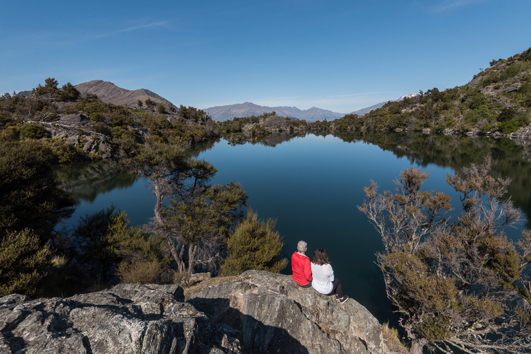 Wanaka : bateau-taxi et visite de l&#039;île de Mou WahoOption standard