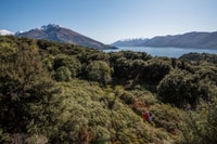 Wanaka, Water Taxi & Mou Waho Island Tour - Housity