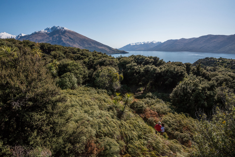 Wanaka: Excursión en taxi acuático y por la isla de Mou WahoOpción Estándar