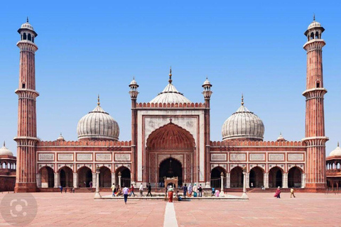 Delhi: tour mattutino spirituale, visita ai templi e colazione