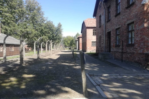 From Krakow: Auschwitz-Birkenau Self-Guided with Guidebook Pickup From Bus Stop at Kraków Wielopole 2