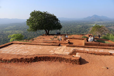 Sigiriya & Dambulla Day tour from Bentota Beruwala Ahungalle