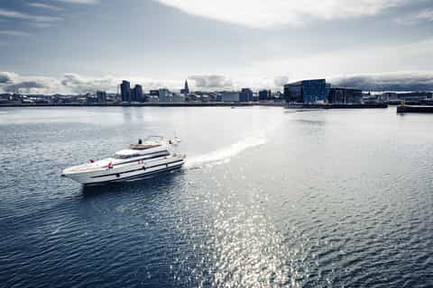 Reykjavik: Small-Group Whale Watching Cruise