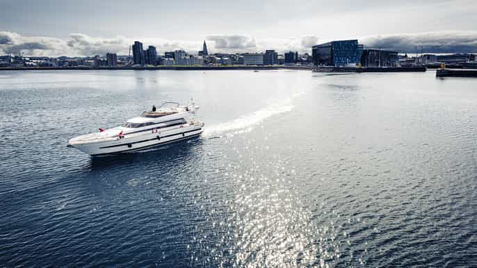 reykjavik smallgroup whale watching cruise