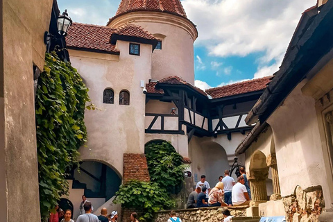 Sibiu: Dracula's Castle and Brasov Day Roundtrip Day Tour