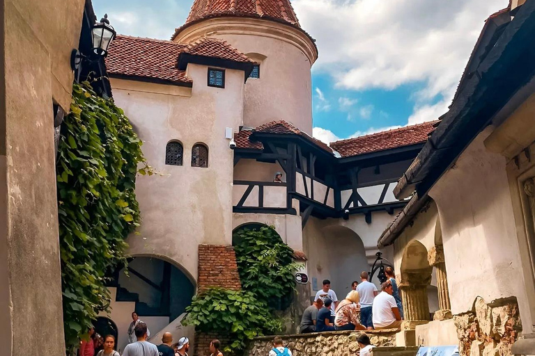 Sibiu: Dracula's Castle and Brasov Day Roundtrip Day Tour