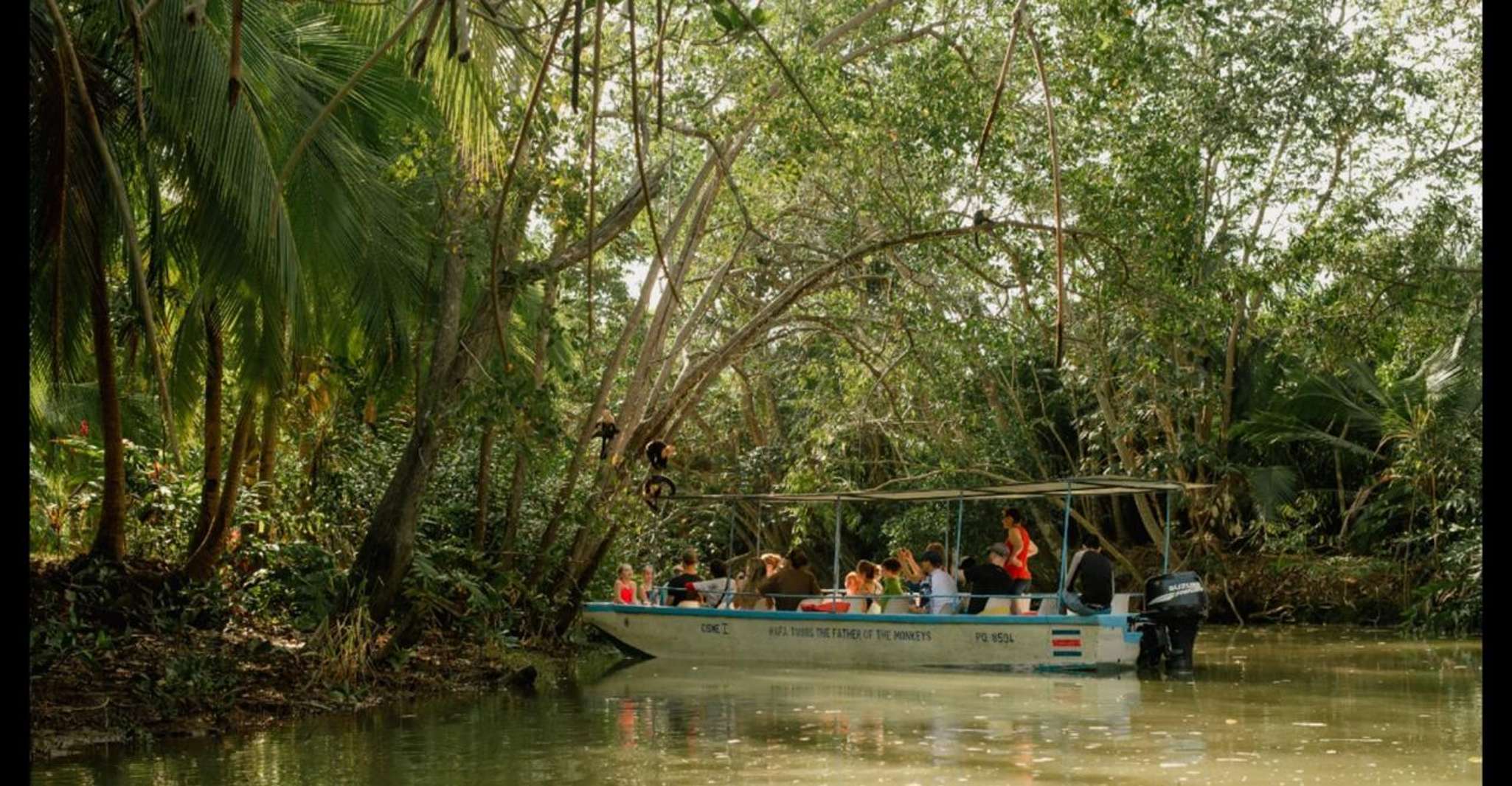 Manuel Antonio, Natural Mangrove Guided Boat Tour and Drinks - Housity