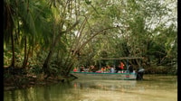 Manuel Antonio, visite en bateau guidé par les mangroves naturelles et boissons - Housity