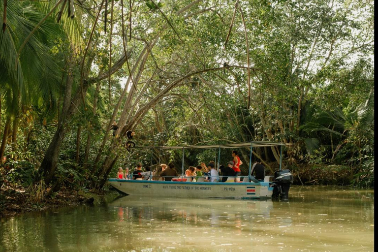 Manuel Antonio: Tour en barco guiado por los manglares naturales y bebidasDesde Manuel Antonio: tour en bote por los manglares