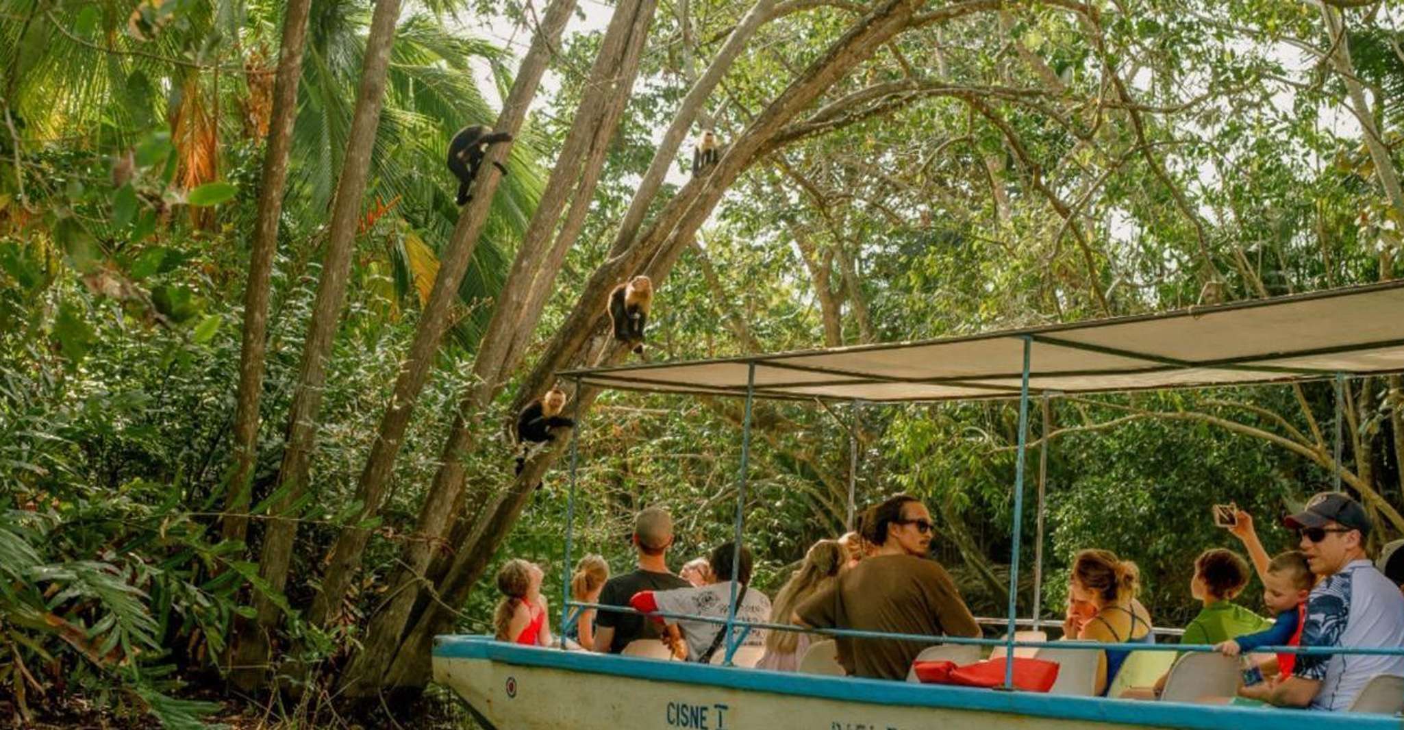 Manuel Antonio, Natural Mangrove Guided Boat Tour and Drinks
