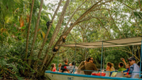 Manuel Antonio, visite en bateau guidé par les mangroves naturelles et boissons - Housity